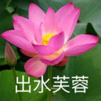 周杰伦新歌堪称三胎带娃实录